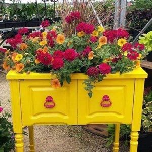 Meet your Posher, Joanne